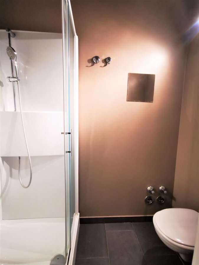 louer studio 0 chambre 25 m² luxembourg photo 4