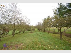 Terrain à vendre à Erpeldange (Bous) - Réf. 5584797