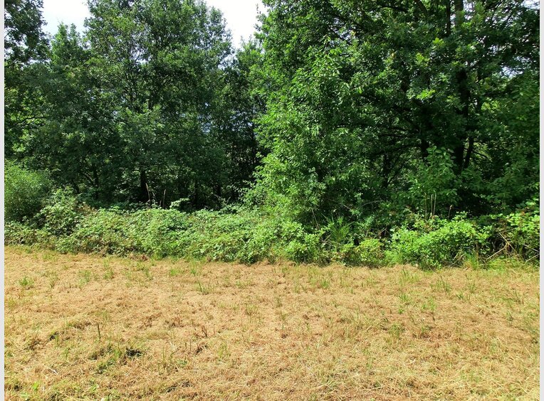 Terrain constructible à vendre à Wadern (DE) - Réf. 6353069