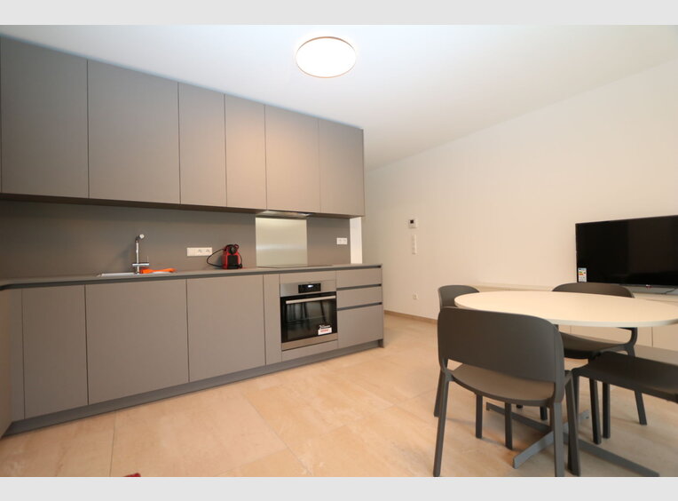 Studio for rent 1 bedroom in Luxembourg (LU) - Ref. 6717885