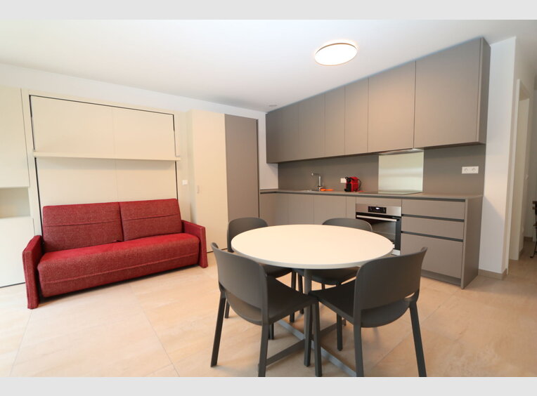 Studio for rent 1 bedroom in Luxembourg (LU) - Ref. 6717885