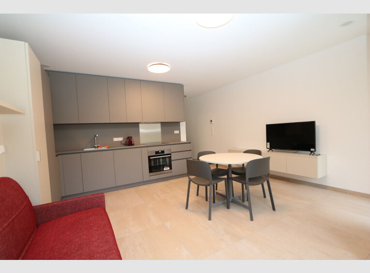 Studio for rent 1 bedroom in Luxembourg (LU) - Ref. 6717885