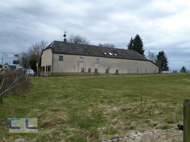 Farm to sell 4 bedrooms in Boulaide