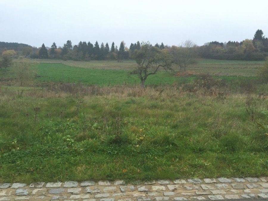 Terrain à vendre à Beckerich