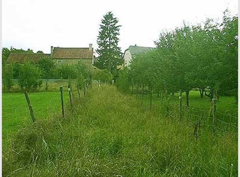 Entrepôt à louer à Biwer (LU) - Réf. 4048718