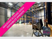 Entrepôt à louer à Sanem - Réf. 7143822