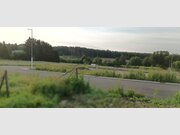 Entrepôt à louer à Flatzbour (Flatzbour) - Réf. 7115678