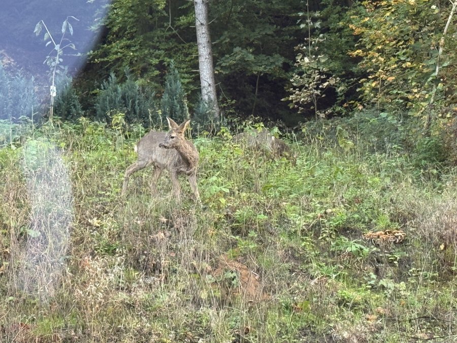Maison à vendre 6 chambres à Strassen