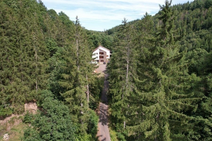 Haus
