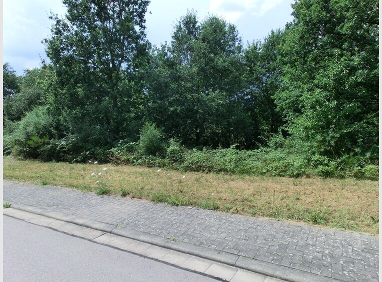 Bauland zum Kauf in Wadern (DE) - Ref. 6353070