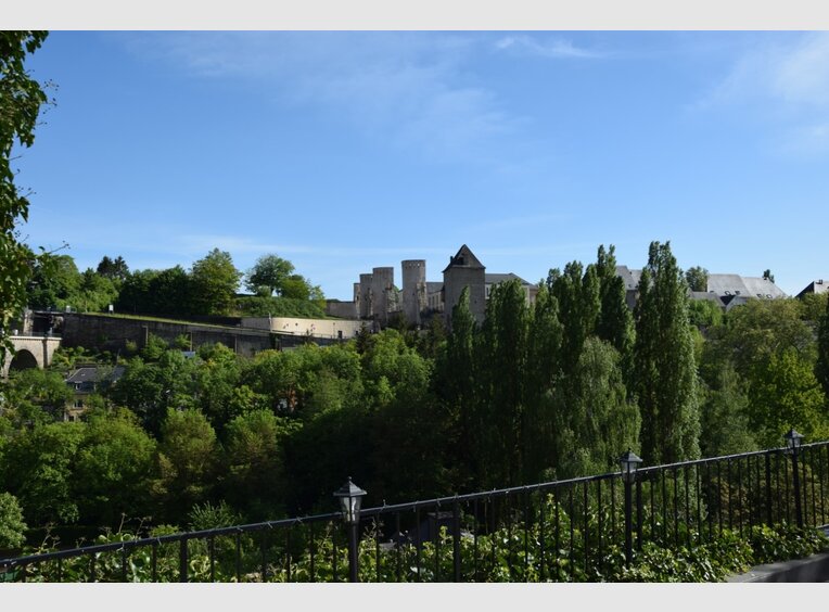 Restaurant for sale in Luxembourg (LU) - Ref. 6798270