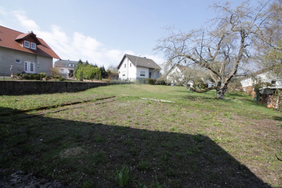 Haus Kaufen Freisen 180 M 179 000 Athome