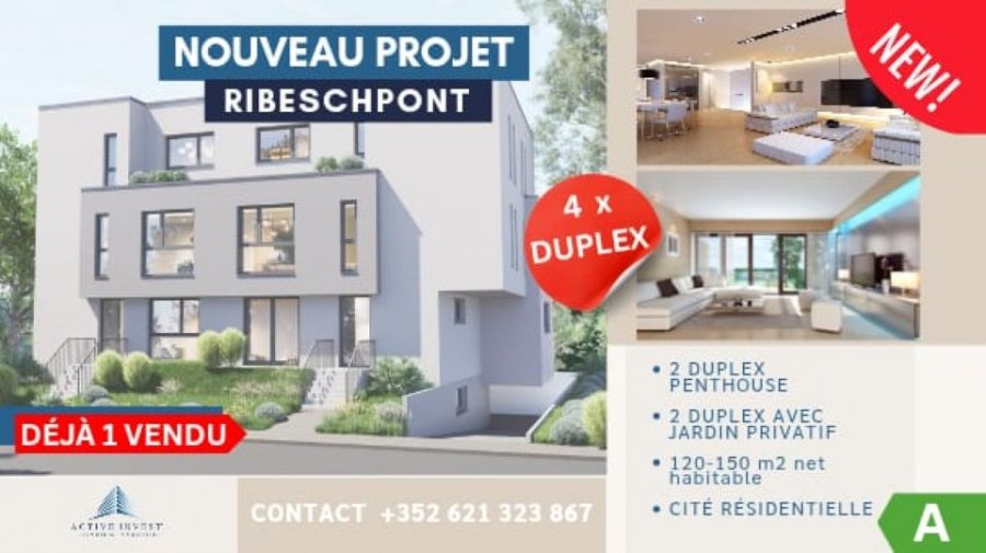 Duplex