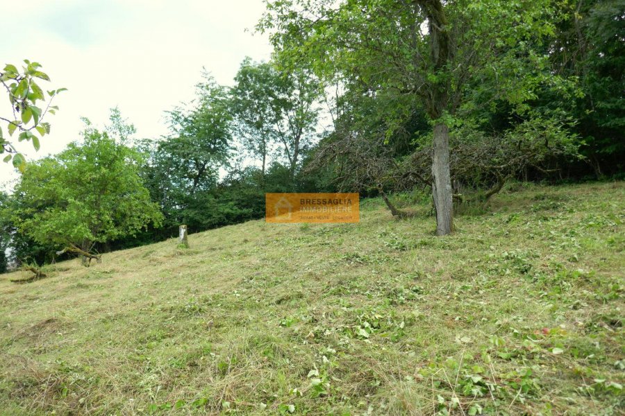 Maison à vendre 4 chambres à Prettingen