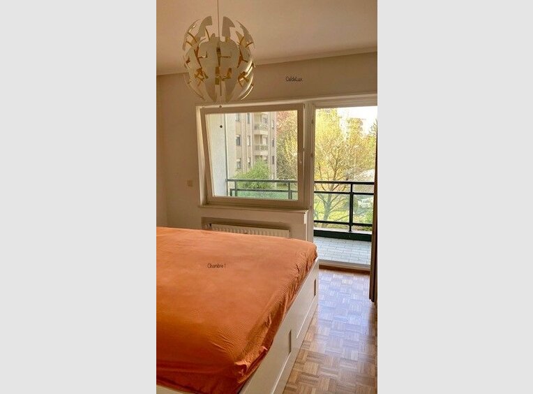 Wohnung zur Miete 2 Zimmer in Luxembourg (LU) - Ref. 7255806
