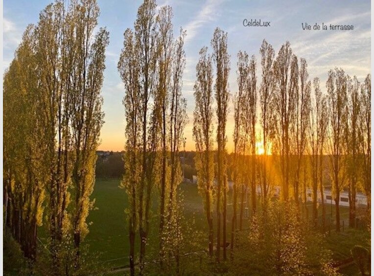 Wohnung zur Miete 2 Zimmer in Luxembourg (LU) - Ref. 7255806