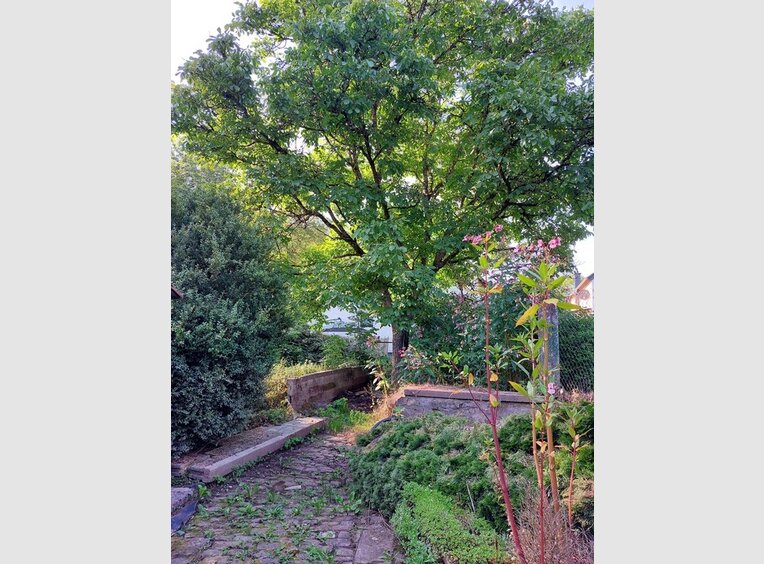 Maison à vendre 4 Pièces à Bitburg (DE) - Réf. 7225615
