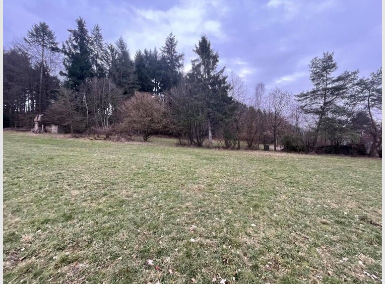 Farmhouse for sale 12 rooms in Wadern (DE) - Ref. 7118655