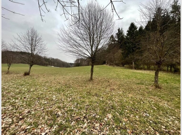 Farmhouse for sale 12 rooms in Wadern (DE) - Ref. 7118655