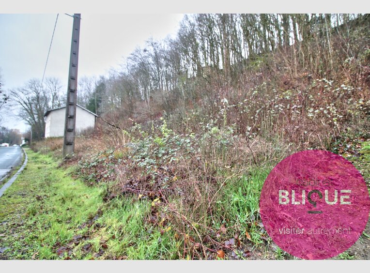 Terrain constructible à vendre à Haironville (FR) - Réf. 7126847