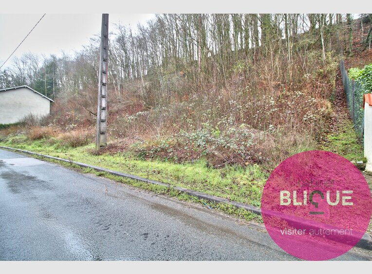Terrain constructible à vendre à Haironville (FR) - Réf. 7126847
