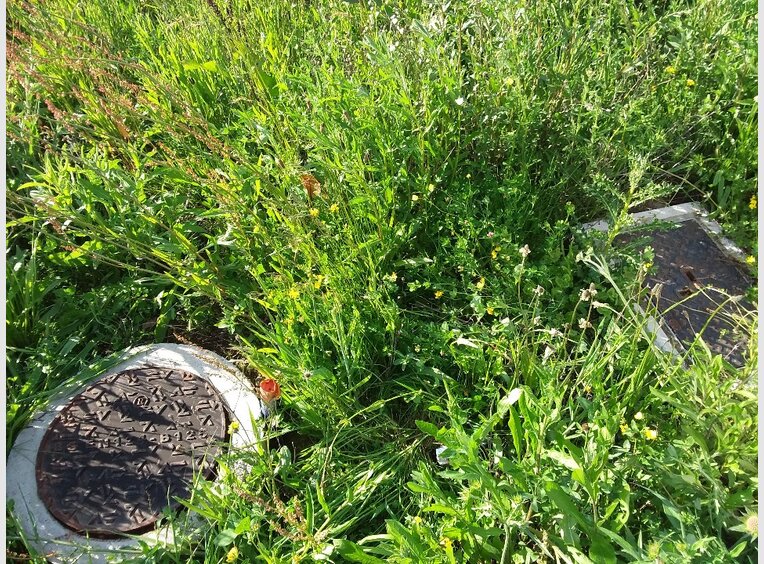 Terrain constructible à vendre à Valmont (FR) - Réf. 6739039