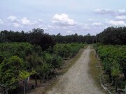 Ferme à vendre 4 Chambres à Tocha  - Réf. 5241695