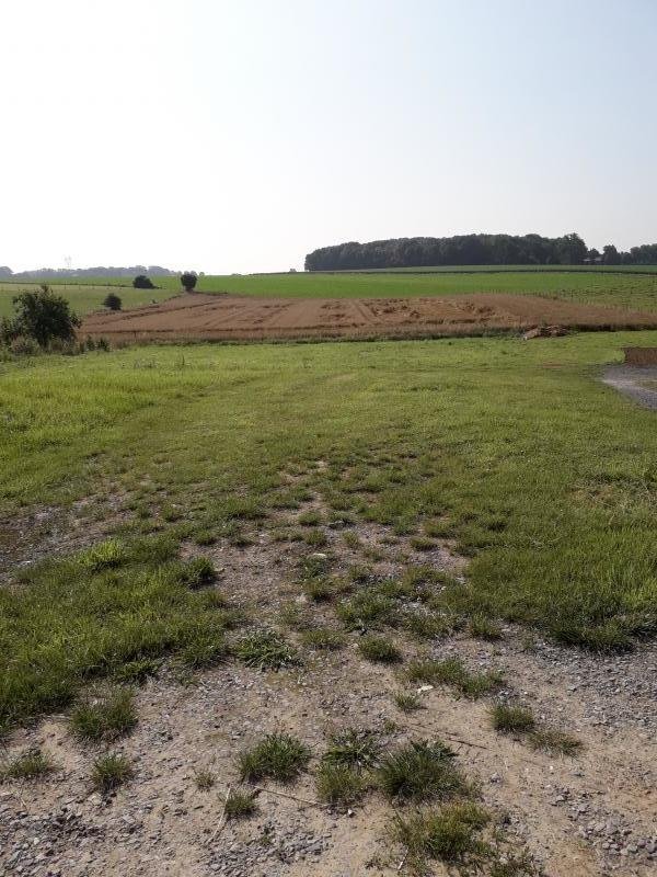 Terrain constructible