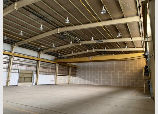 Entrepôt à louer à Sandweiler (LU) - Réf. 7332495