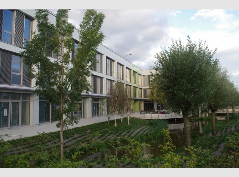 Entrepôt à louer à Windhof - Réf. 6146703