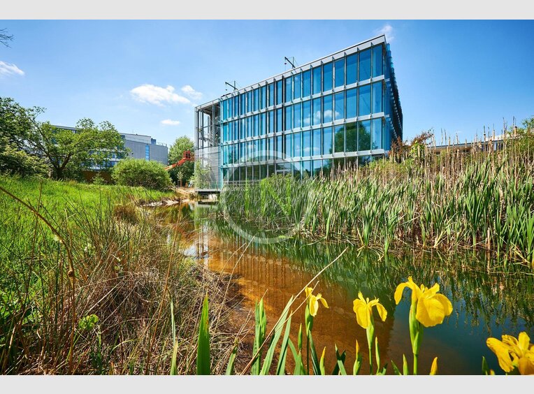 Bureau à louer à Luxembourg (LU) - Réf. 6962863