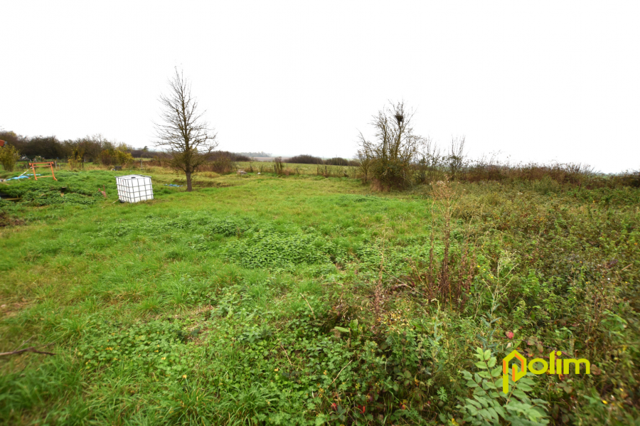 Terrain constructible