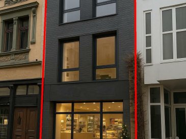 Stadthaus mit gewerbl. Option im EG