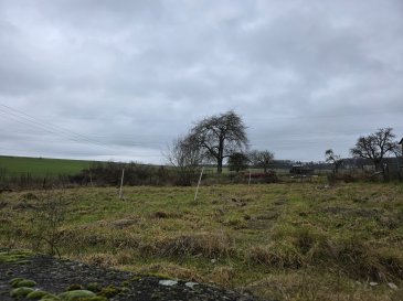 Ce terrain de 10 ares 75 centiares est situé à Savelborn. Il est possible de construire une maison unifamiliale ou jumelée.

Largeur façade rue : ± 28 m  
Profondeur du terrain façade sud : ± 35 m  
Profondeur du terrain façade nord : ± 42 m  

La maison peut avoir une largeur de 6 m minimum et une profondeur maximum de 15 mètres y compris terrasse et véranda.

Vous pouvez construire moins en profondeur à condition de respecter une profondeur de 3 m sur la façade côté rue.

Orientée Sud-Ouest, le terrain est situé à Savelborn.

Ce terrain se trouve en zone mixte rurale et est donc destiné aux maisons unifamiliales et exploitations agricoles.

Savelborn est un village qui se trouve en direction du nord de la capitale du pays, Luxembourg-Ville, niché dans une zone plutôt verdoyante, entourée de forêts et de nature. Cela en fait un lieu populaire pour les randonnées et les activités de plein air.

Le village fait partie de la commune de la Vallée de l'Ernz, qui inclut plusieurs autres localités.  
Le village est desservi par les bus, qui assurent également une liaison avec la capitale et les communes voisines.

Pour plus d'informations, veuillez contacter s.v.p. Maurits van Rijckevorsel au numéro de téléphone +352 621 198 891 ou par e-mail maurits@vanmaurits.lu