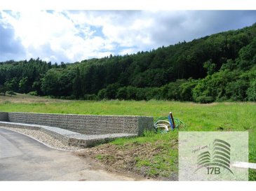 Terrain constructible