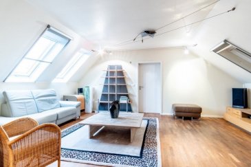 **Villa de +/-500m2 sur les hauteurs de Steinsel sur un grand terrain de 31a07ca.** 

La villa avec ses +/-330m2 habitables profite d'un emplacement idéal à la lisière de la forêt dans une cité calme et sans voisins directs à l'arrière. 

Nichée en haut de la colline, elle offre un cadre lumineux tout en étant protégée des regards indiscrets d'une part, et une vue panoramique sur la vallée allant jusqu'au Kirchberg d'autre part. 

La villa profite de finitions de qualité avec du marbre et du parquet au sol, un sauna, un jacuzzi et de grandes terrasses avec un jardin aménagé. 

**La villa se compose comme suit :**