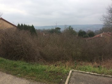 Terrain constructible