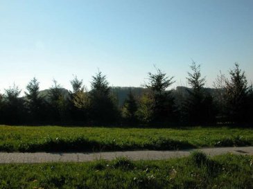 Terrain constructible