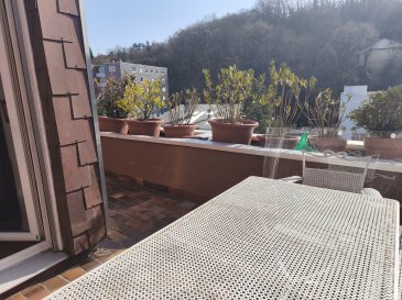 Un grand duplex familial à St Avold au centre-ville de 116 m², avec de beaux volumes, double terrasse, 3 chambres, 1 grand séjour lumineux, 1 salle de bains avec une douche et baignoire, 1 cave de 14 m², un garage.

Pour votre confort, un ascenseur qui permet de desservir les 2 niveaux du duplex.

Le chauffage est au gaz.

Dans les charges, le chauffage est inclus, la taxe foncière est de 400 €.

Le prix est de 175 000 € frais d'agence inclus.