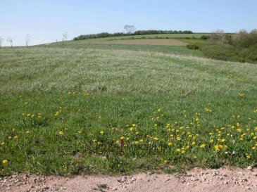 Terrain constructible