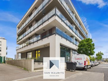 À LOUER ? Bureaux lumineux de 168 m² avec jardin privatif ? DISPONIBLE DÈS LE 01.09.2025

Situé en rez-de-chaussée dans un quartier calme, ce plateau de bureaux de 168 m² offre un cadre de travail agréable, fonctionnel et immédiatement opérationnel. Très lumineux, il dispose d'un espace extérieur privatif de 106,75 m², accessible directement depuis l'un des bureaux.

Le bien est loué entièrement meublé, avec un mobilier en excellent état. L'aménagement comprend six bureaux indépendants de 12 à 14 m² chacun, une salle de réunion climatisée, une kitchenette équipée et deux sanitaires. L'ensemble est très bien entretenu.

Les prestations techniques incluent : chauffage au gaz, double vitrage, faux plancher technique, câblage informatique, contrôle d'accès par badge, vidéoparlophone et deux zones 