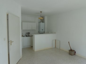 Appartement Thionville-Napoléon