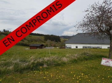 Terrain constructible