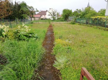 Terrain constructible à Neufchef