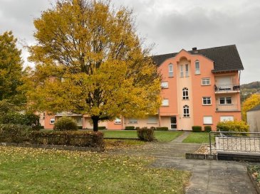 Joli appart-duplex,living,cuisine équipée, deux chambres à coucher, salle de douche,W.C.séparé, balcon, emplacement intérieur pour une voiture etc.