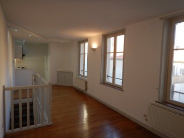 Appartement Nancy-Ville vieille - Léopold