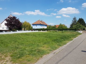 Terrain constructible