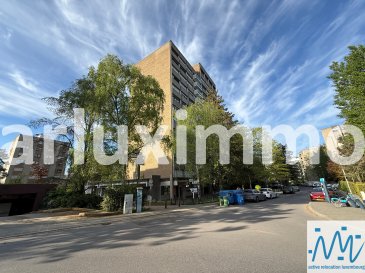 ''active relocation luxembourg