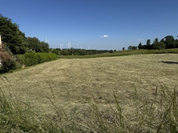 LAUNSTROFF

À proximité du LUXEMBOURG et de l'ALLEMAGNE

Au calme  
Terrain constructible de 8,42 ares, façade d'env 31m sur 27m de profondeur  
Libre de constructeur  
Terrain non viabilisé, les réseaux sont à proximités  

A SAISIR