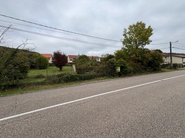 Vue dégagée.  Grand terrain à batir libre de constructeur sur une parcelle de 15 ares 68 ca avec 40 m de façade, viabilité en bordure de route.
 Tout projet possible. A découvrir rapidement !
 Les informations sur les risques auxquels ce bien est exposé sont disponibles sur le site Géorisques : www.georisques.gouv.fr